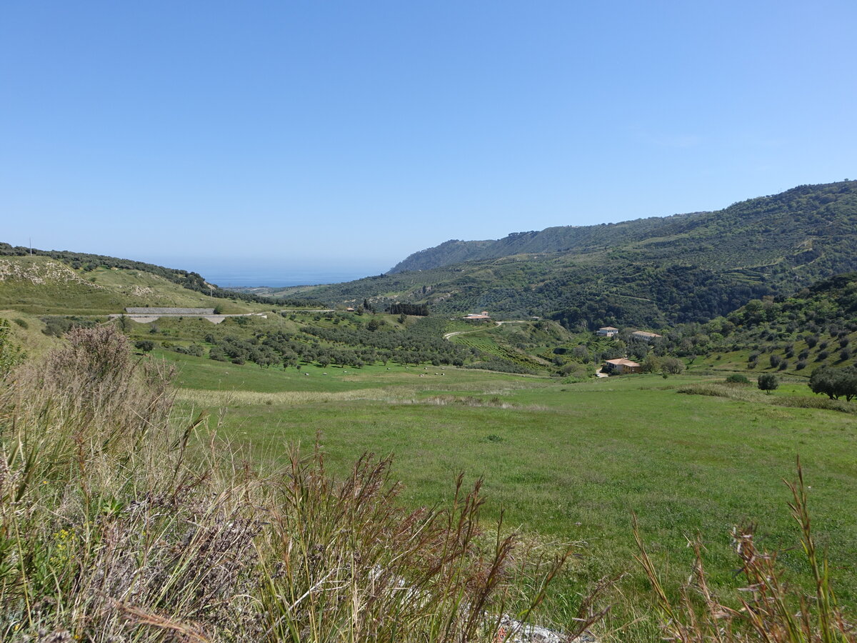 Landschaft bei Squillace an der Ionischen Küste, Kalabrien (08.04.2024)