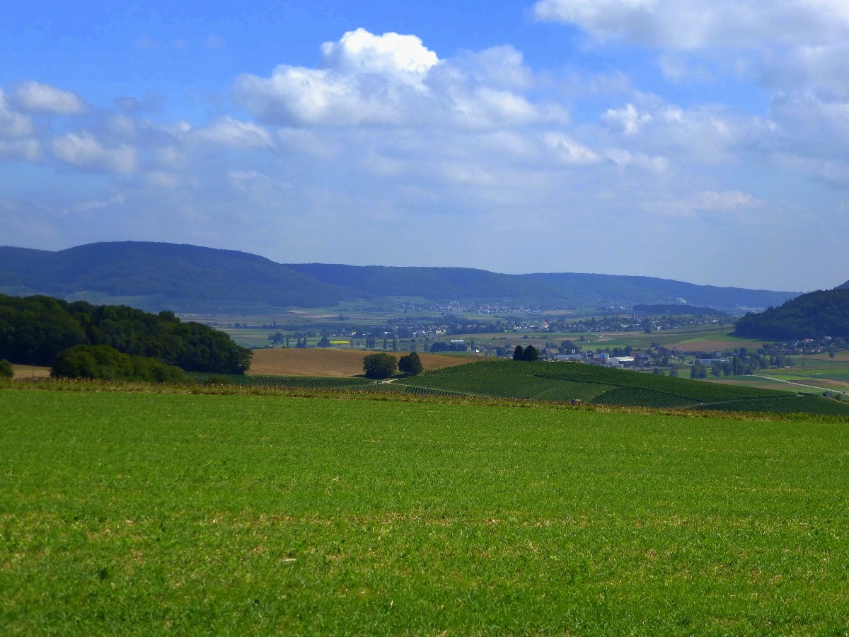 Landschaft im Klettgau an der Grenze zur Schweiz, Sept.2015