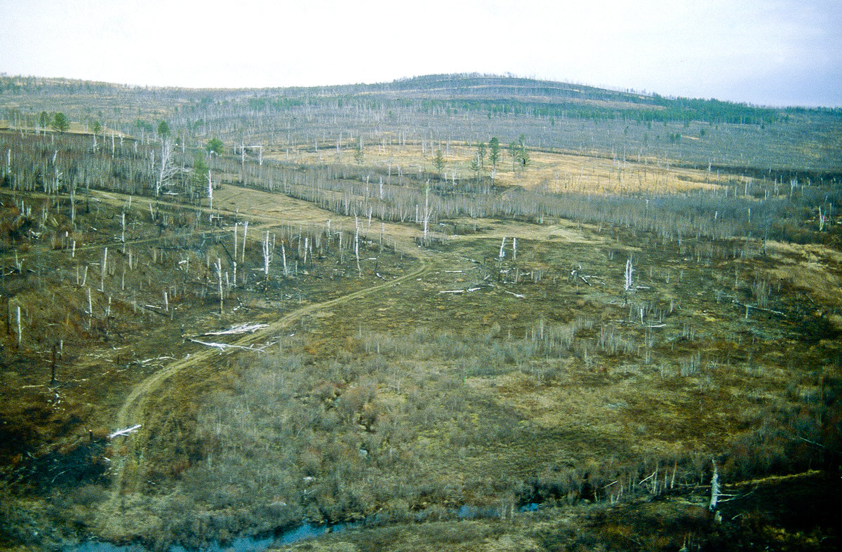 Landschaft in Oblast Irkutsk von der Transsibirischen Eisenbahn aus gesehen. Bild vom Dia. Aufnahme: Juni 1989.