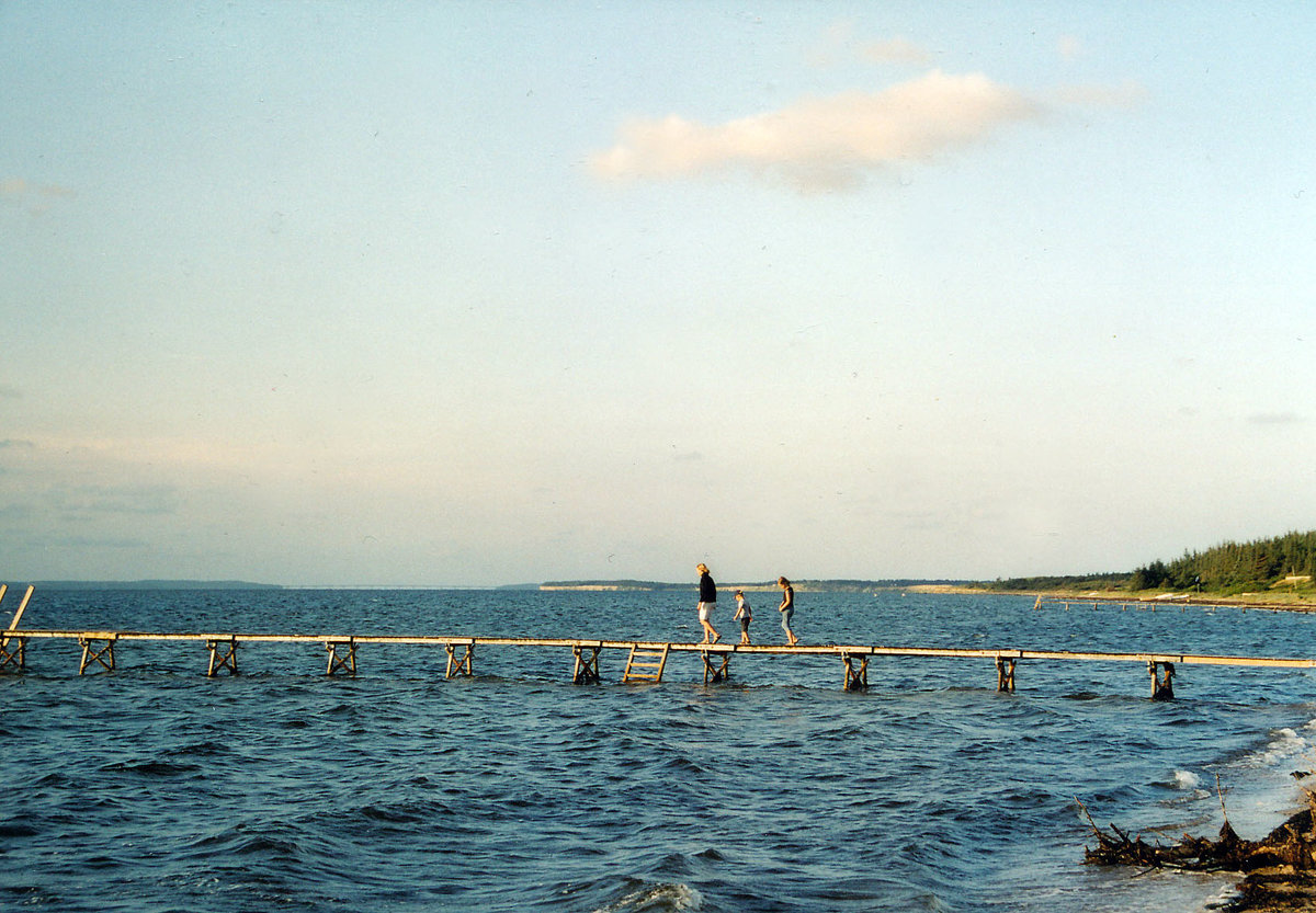 Limfjorden an der Halbinsel Salling in Dänemark (vom Analogfoto). Aufnahme: Juli 2003.