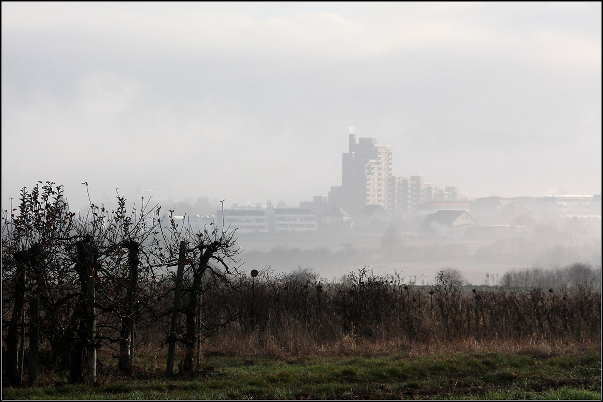 Manches kommt wieder zum Vorschein -

...wenn sich der Nebel auflöst. Blick nach Weinstadt-Endersbach.

15.12.2016 (M)