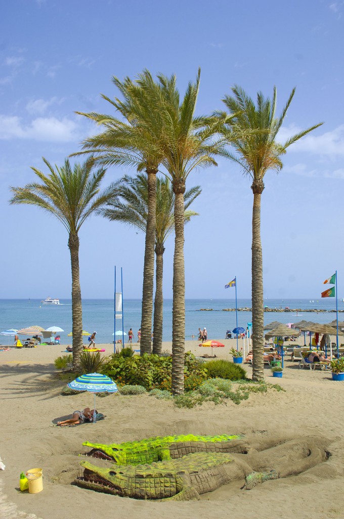 Palmen am Strand von Benalmádena an der Costa del Sol. Aufnahme: Juli 2014.