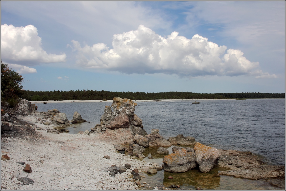 Raukar im Norden Gotlands. Kalkhaltige Übereste von Riffstrukturen aus
