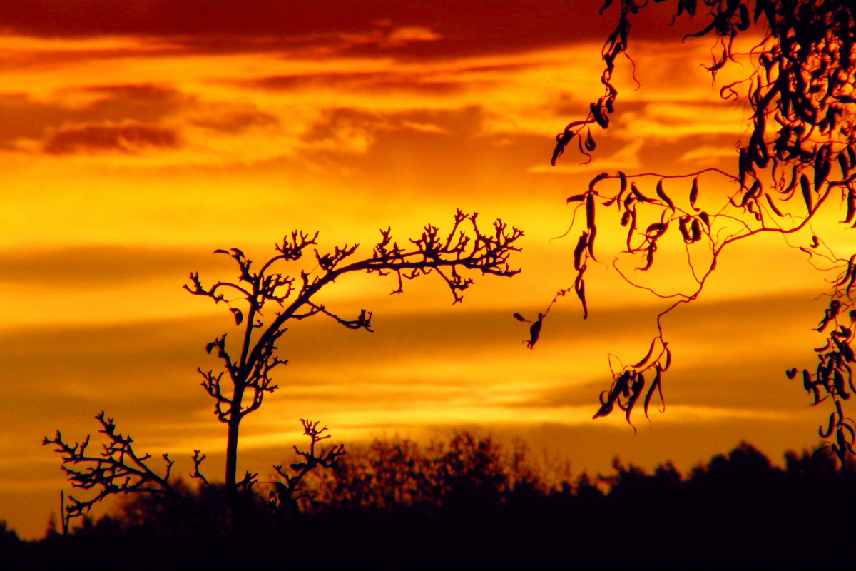 Schön gefärbter Morgenhimmel am 4.11.2014 in Bischwind a.R.