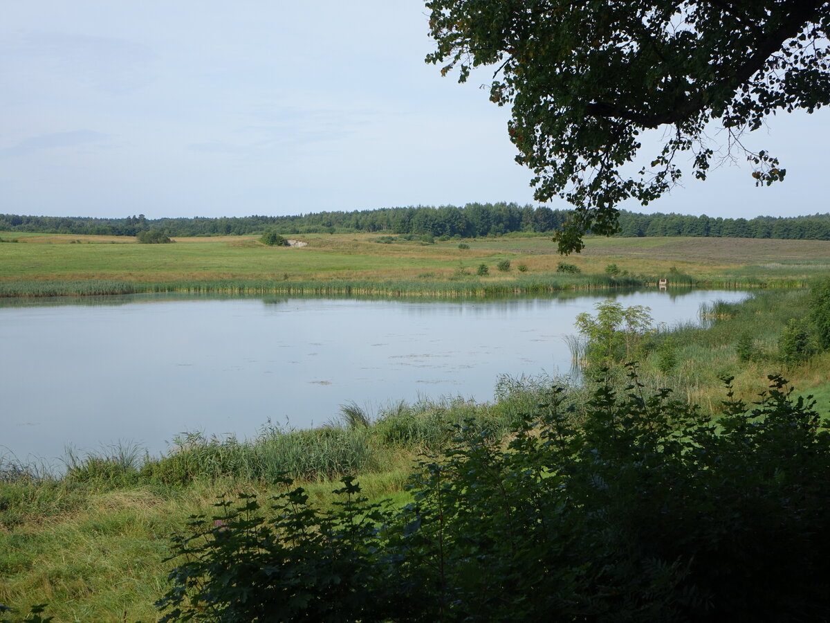 See bei Gierloz in der Woiwodschaft Ermland-Masuren (04.08.2021)