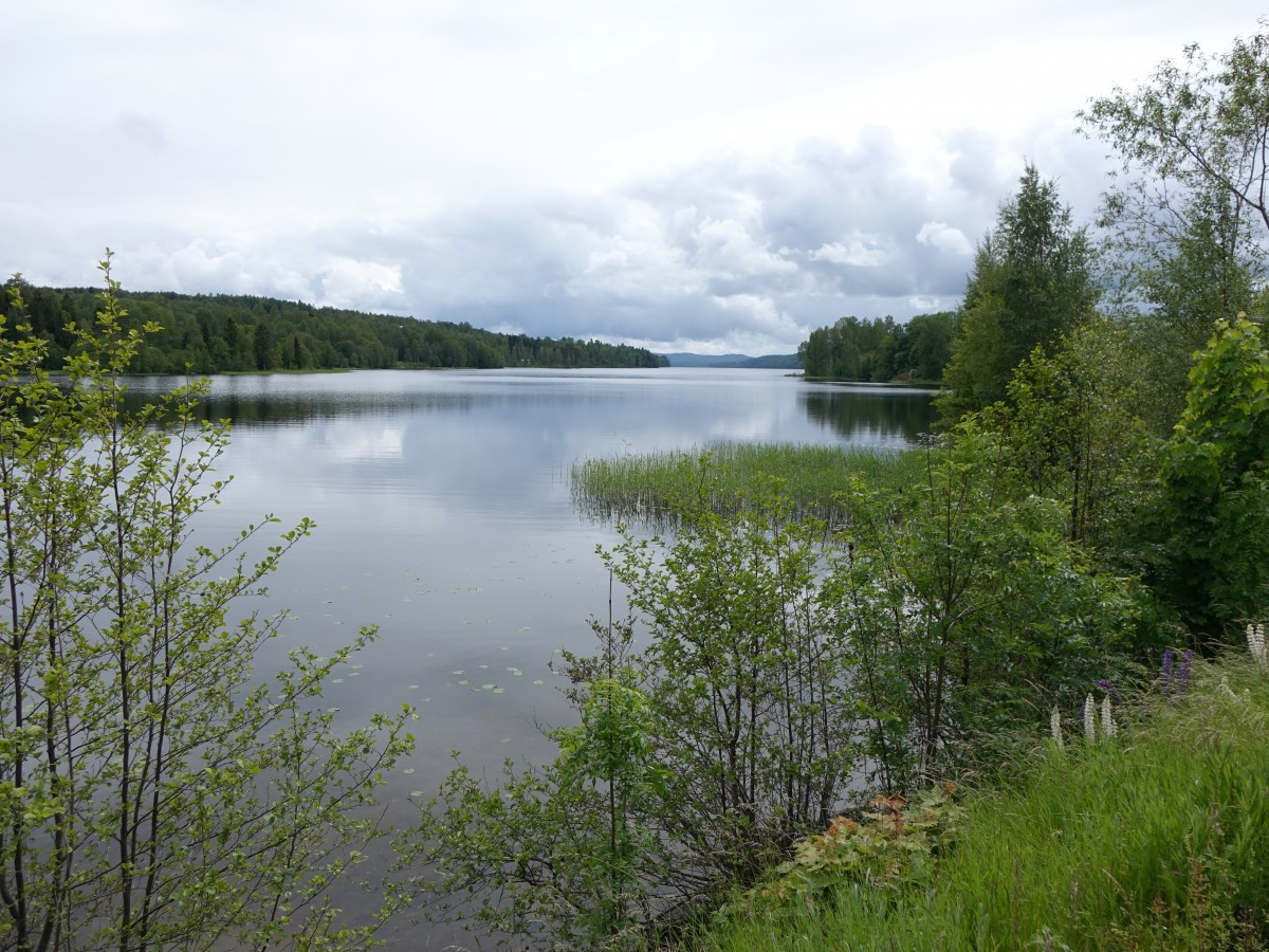 See bei Laxarby, Värmland (18.06.2015)