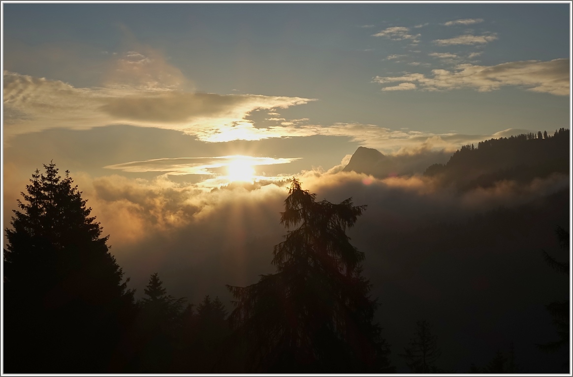 Sonnenaufgang über den Waadtländer und Freiburger Alpen.
(17.06.2015)