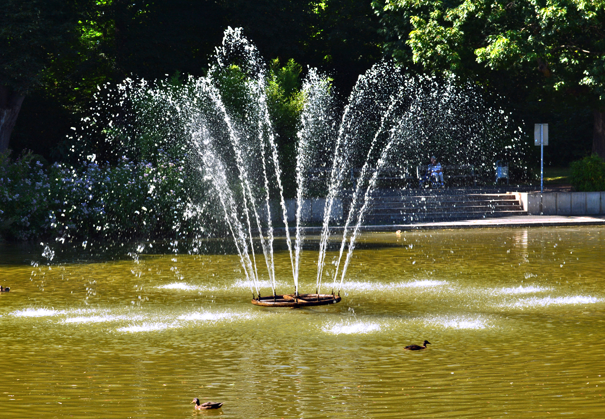 Springbrunnen im Schillerparkteich Euskirchen - 03.08.2015
