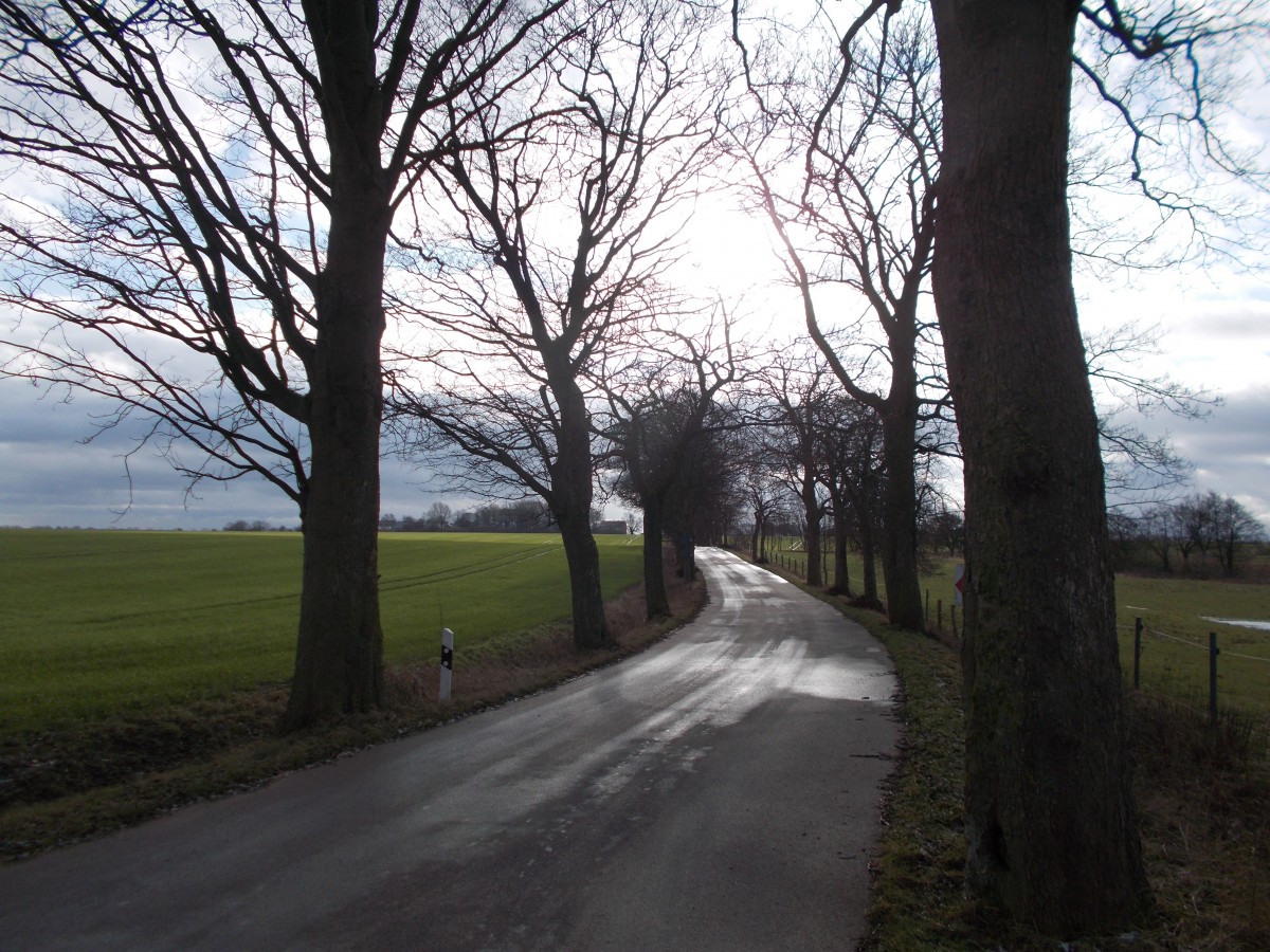 Straße bei Schwarbe auf der Halbinsel Wittow am 02.Februar 2015.