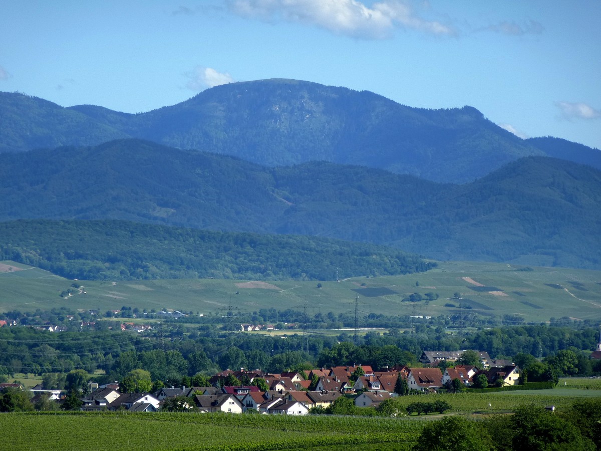 Teleblick vom Tuniberg bei Opfingen ber die Rheinebene zum 1414m hohen Belchen im Schwarzwald, Mai 2014