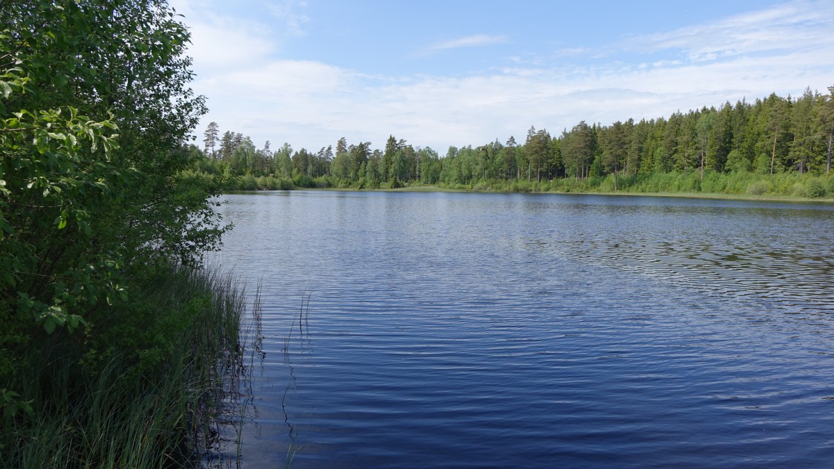 Tranemosjön See bei Tranemo, Västergötland (13.06.2015)