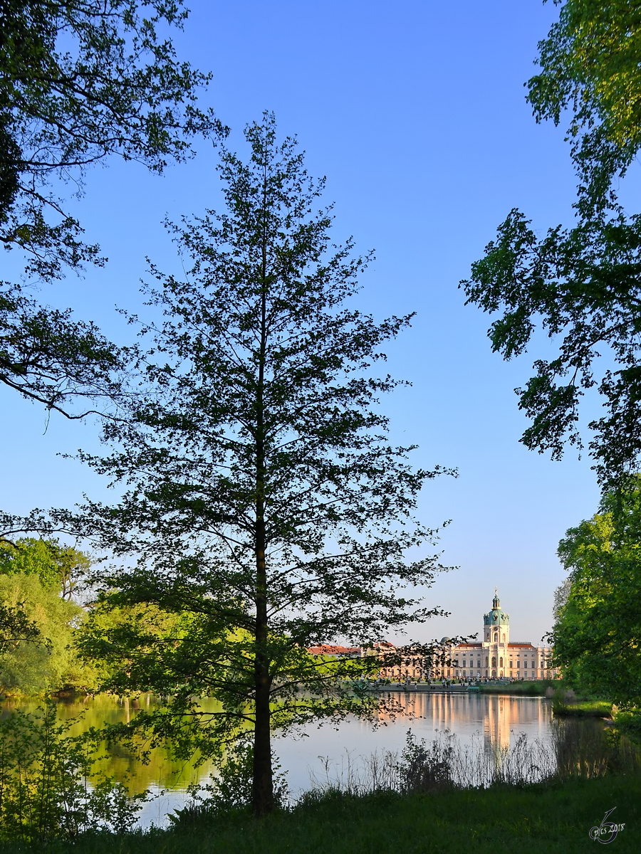 Unterwegs im Schlosspark Charlottenburg mit Blick über den Karpfenteich auf das Schloss. (Berlin, April 2018)