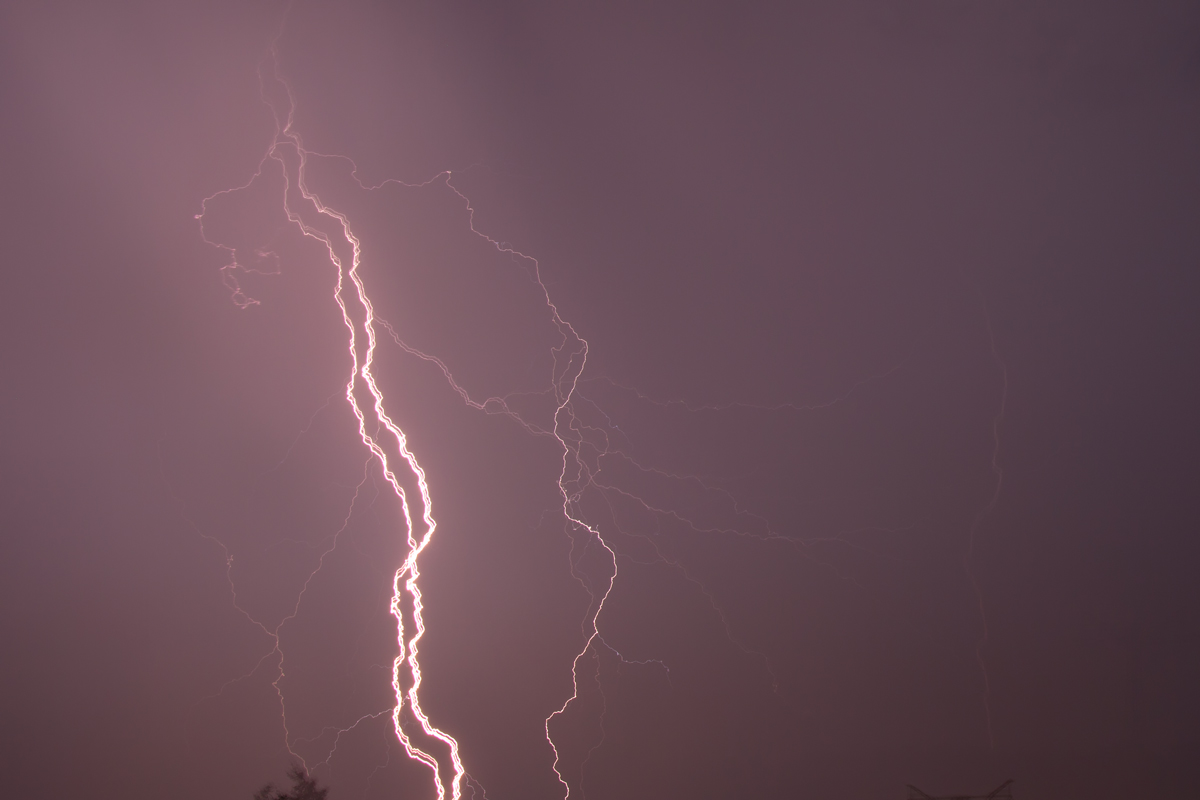 Verästelter Blitz in der Nacht über Torgelow. - 03.08.2014
