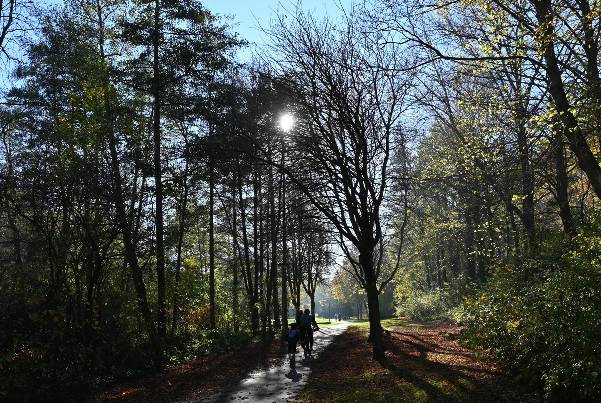 Wanderweg im Mühlenpark bei Kommern - 11.11.2022