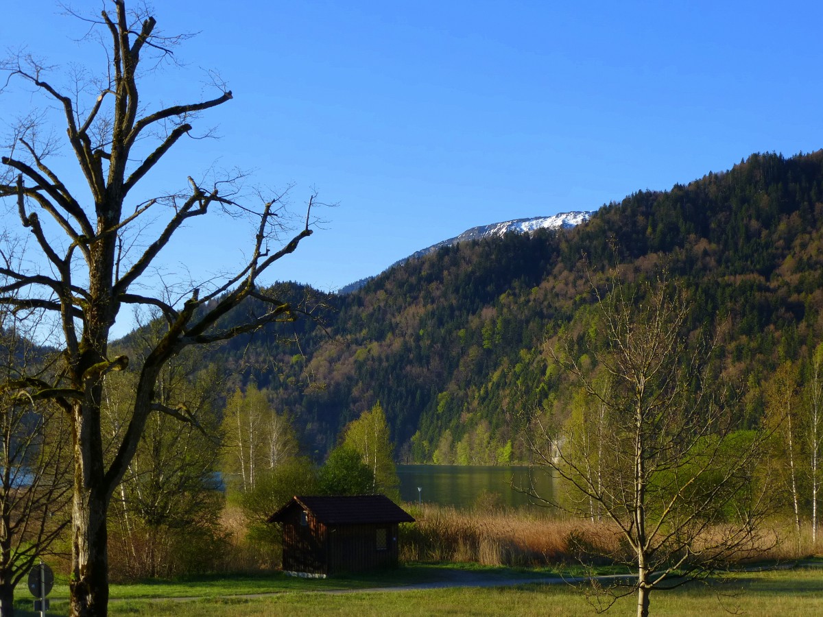 Weissensee im Allgu, Blick ber den See auf die Alpen, April 2014