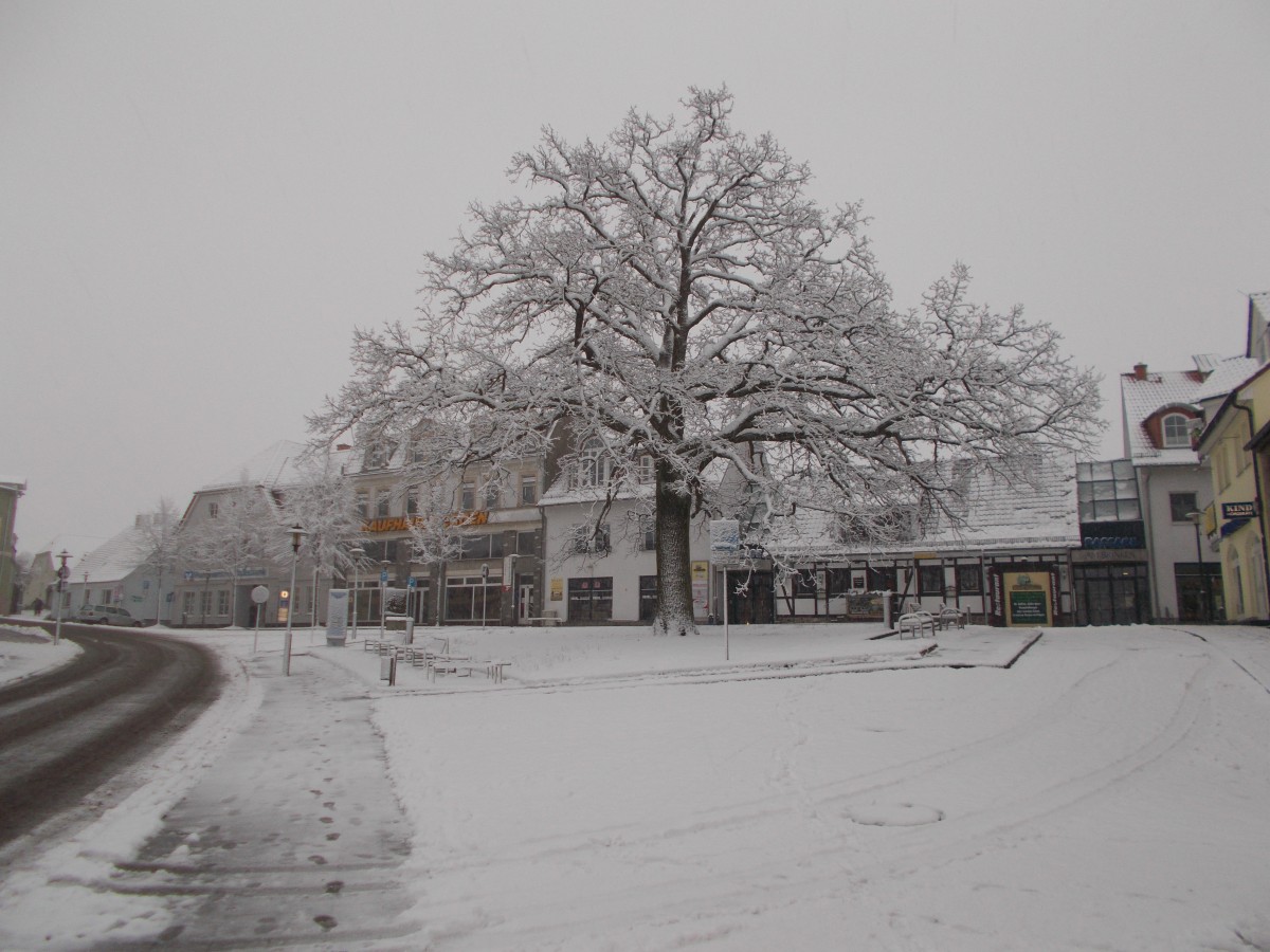 Winter am Goldenen Brinken in Bergen/Rügen am 31.Januar 2015.