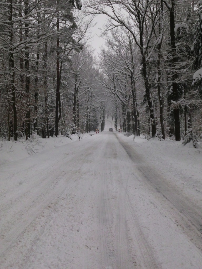 Winter in Olbersdorf am 24.03.2013