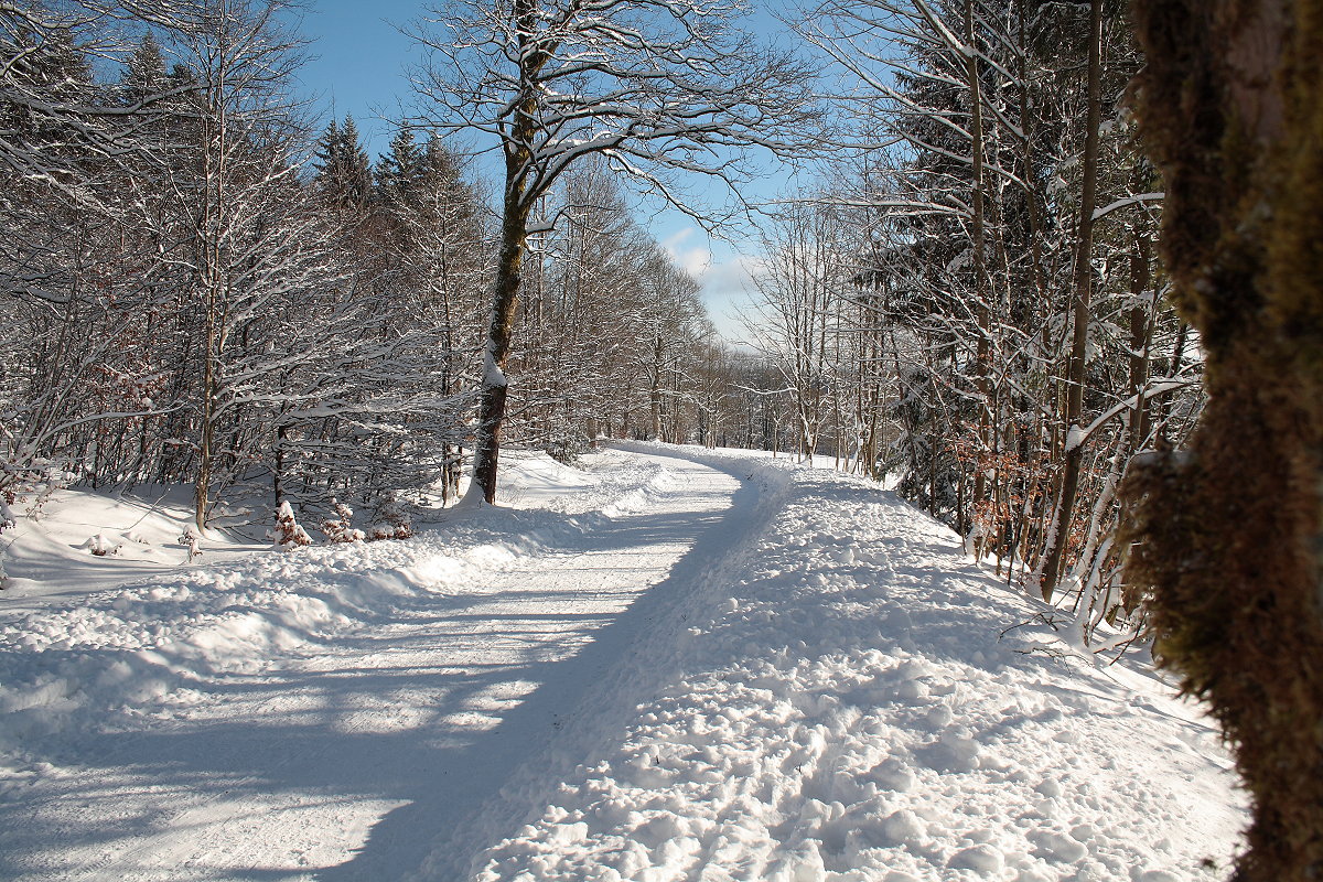 Wintermärchen Harz am Sonntag, 21.01.2018; Waldlandschaft am frühen Nachmittag in der Nähe von Braunlage...