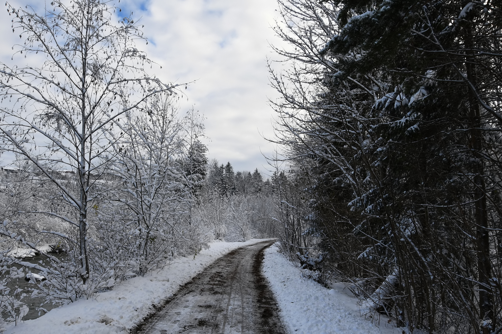 Ein Wanderweg neben dem Bach Vils in der Nähe von Pfronten. (November 2023)
