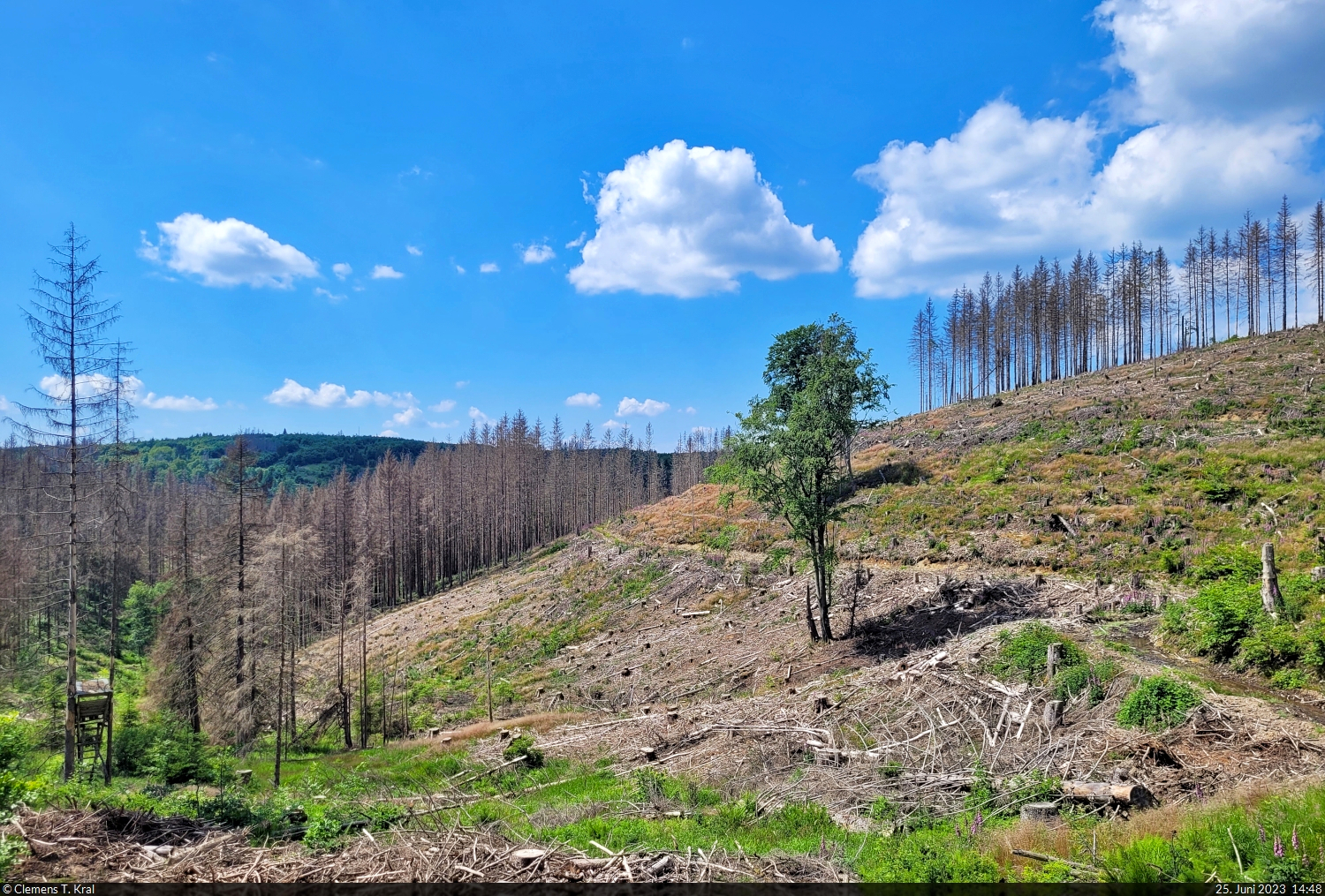 Erschreckender Zustand des Harz-Waldes nahe Clausthal-Zellerfeld. Der Borkenkäfer hat hier sämtliche Nadelbäume befallen, Schatten sucht man bei dem warmen Wetter vergebens.

🕓 25.6.2023 | 14:48 Uhr