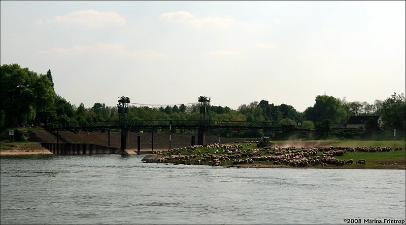 Am Rhein in Duisburg - Einfahrt zu einem  vergessenen Hafen . 