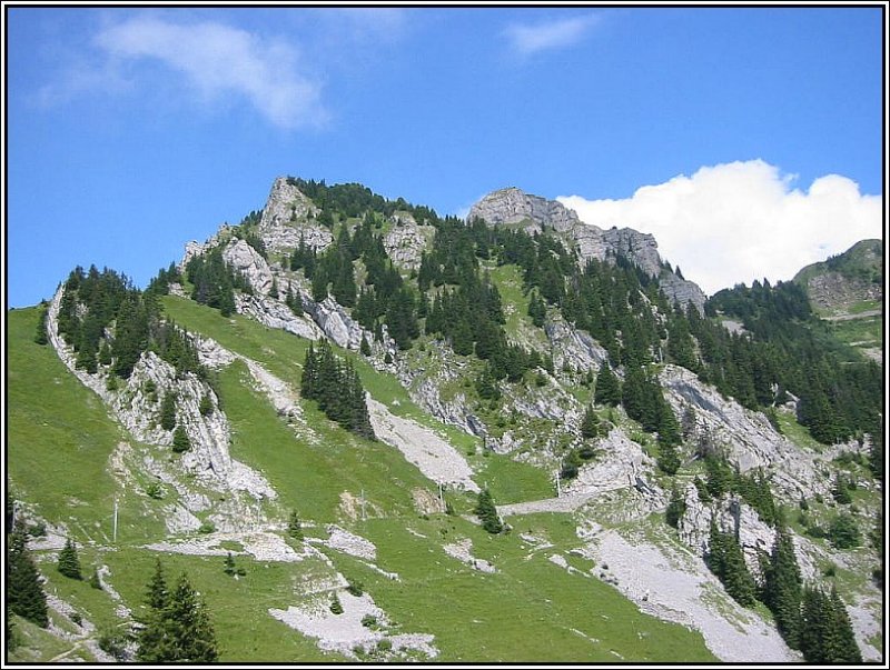 Auf dem Weg zur Schynige Platte mit der Zahnradbahn: Blick aus dem fenster auf das Bergpanorama. Beim genauen Hinsehen kann man die Bahntrasse erkennen. (Juli 2003)