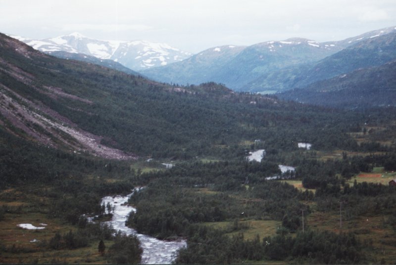 Blick von Mjlfjell in Richtung Voss am 22.7.1994.
