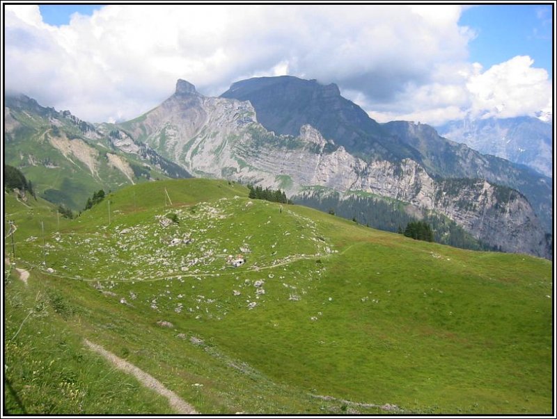 Blick von der Schynige Platte auf die Bergwelt. (Juli 2003)