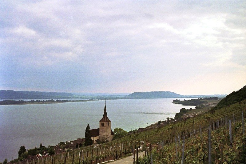 Blick von den Weinbergen oberhalb Ligerz auf den Bielersee (Mai 1993)
