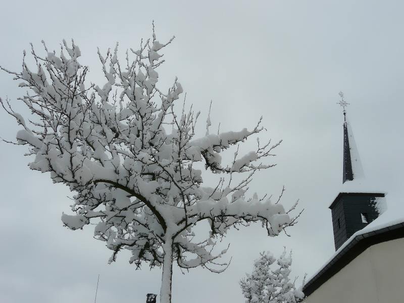 Der Winter kam spt, aber heftig! Bild aufgenommen in Erpeldange/Wiltz (Luxemburg) am 04.03.08.