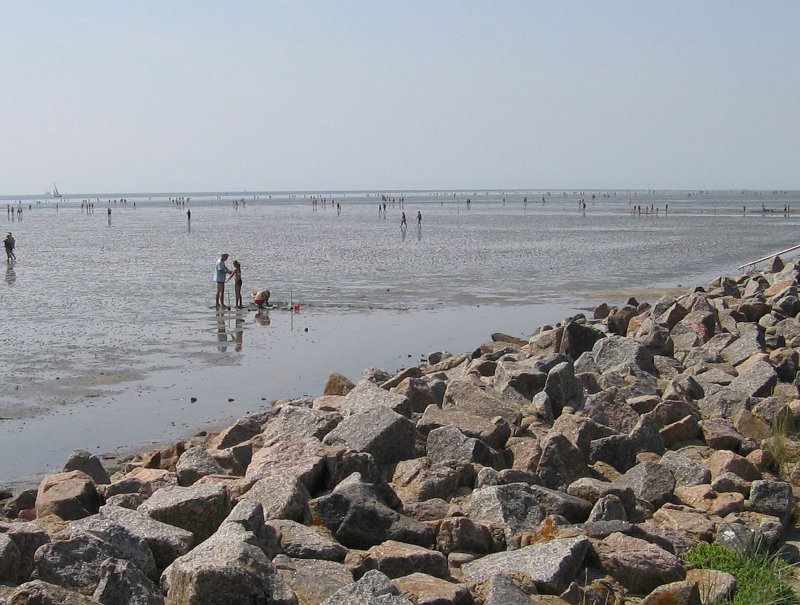 Ebbe am Strand von Bsum, Sommer 2005