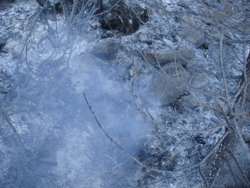 Ein Glutnest, es  brennt  immer noch auch vier Tage nach Ausbruch des Waldbrandes bei Arbaz, 18.04.2007