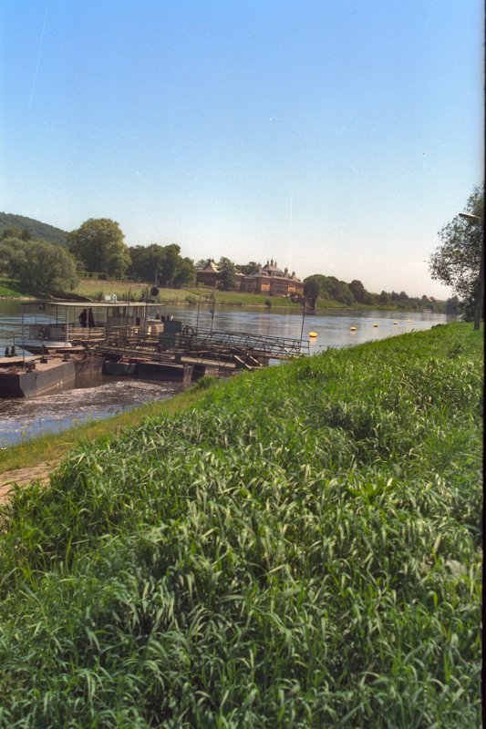 ELBLANDSCHAFT mit Blick nach Pillnitz, um 1990