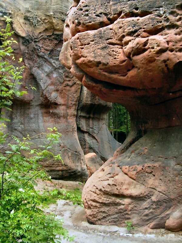Felsenwelt bei Oybin, am Kelchstein. Aufnahme vom Sommer 2004