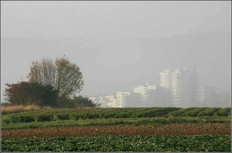 Gegensätze prägen die Landschaft im Remstal - 

Einerseits weite Flächen für die Landwirtschaft, anderseits auch dichte Besiedelung mit Gewerbe- und Wohnflächen. 

11.10.2008 (M)