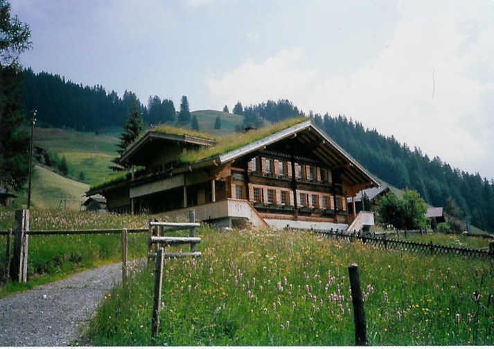 Grasdachhaus im Steigelschwand bei Adelboden