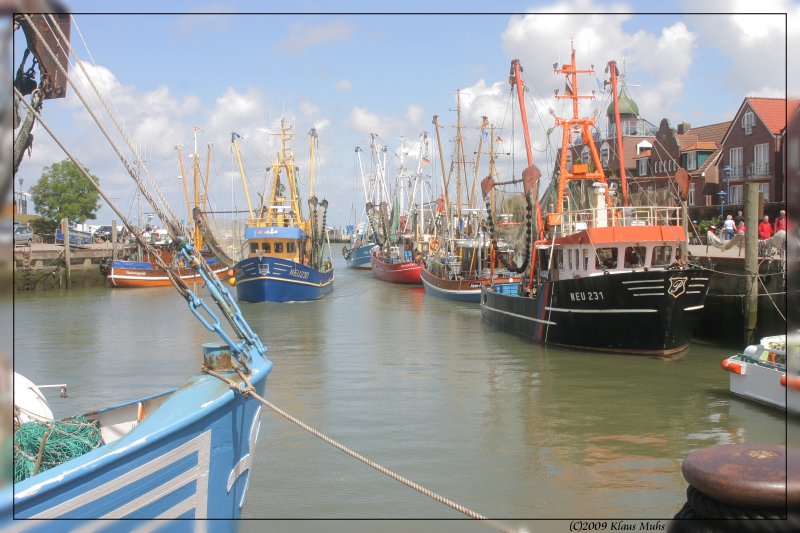 Hafenimpression aus Neuharlingersiel. 20.07.2009  