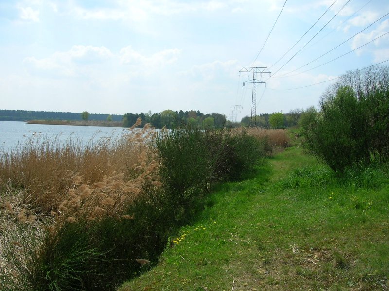 einfach natur - pur am Niegripper See im Jerichower-Land unweit