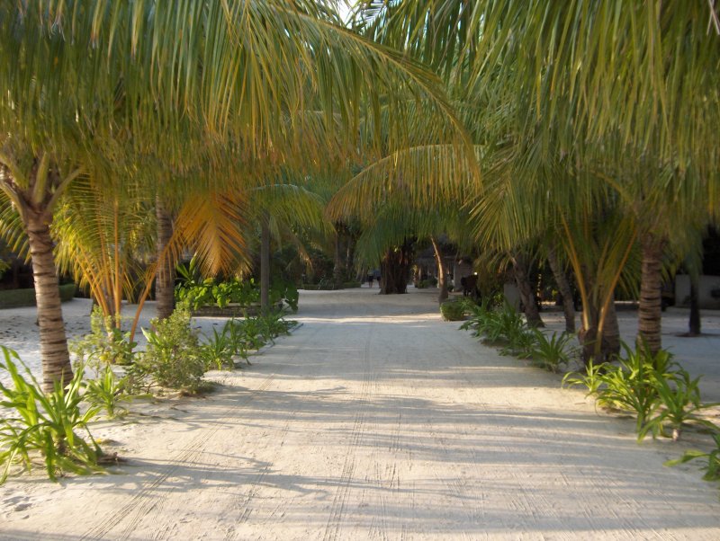 Die Insel Hauptstra�e f�r die 3 Autos auf der Insel!