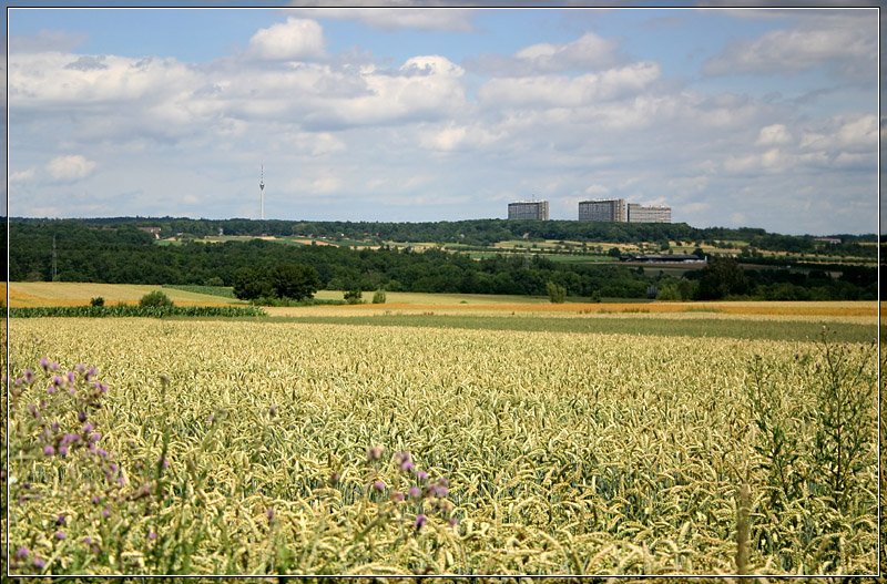 Ländliches Stuttgart - 

Die gesamte hier sichtbare Landschaft gehört zum Stadtgebiet Stuttgart. Links im Hintergrund der Fernsehturm, rechts die drei Wohnhochhäuser  Asamwald  von 1972. Die Stadtbahnlinie U3 verläuft als Überlandstrecke oberhalb des Körschtales in Bildmitte. Das Bild wurde in der Nähe des neuen Messegeländes aufgenommen. 

24.6.2007 (M)