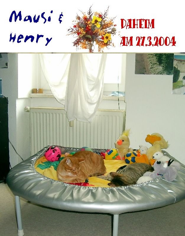 mausi und Henry
2004