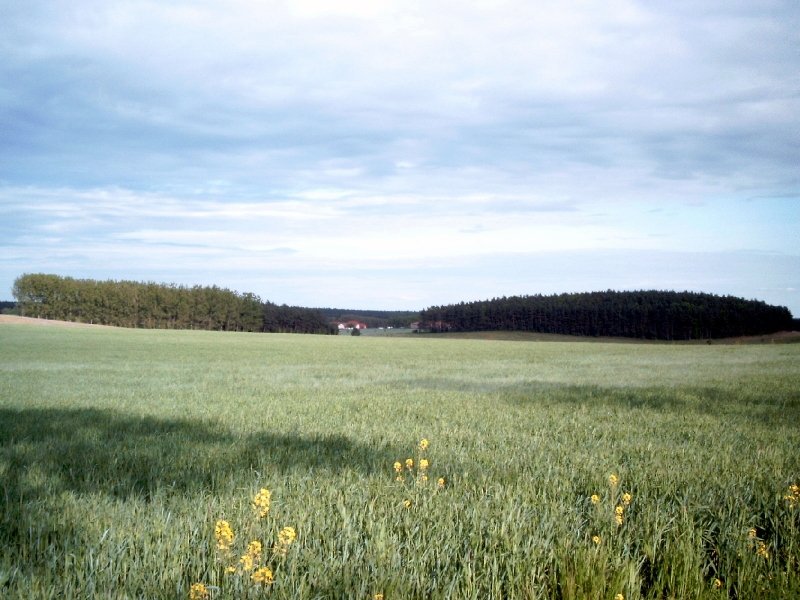 Mecklenburger Landschaft bei Warin (01. Mai 2007)