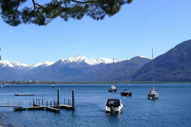Minusio - Blick ber den Lago Maggiore Richtung Magadinoebene am 07.04.2008