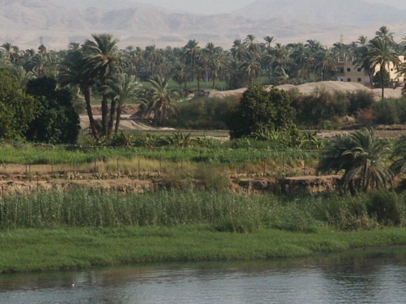 Nil Landschaft bei Luxor