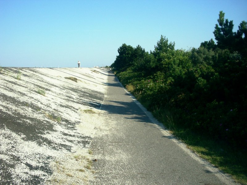 Am Deich von St. Peter-Ording, Sommer 2007 
