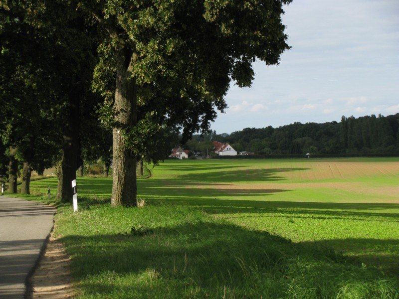 Nordwestmecklenburg, Kreisstrae K 12 (Brook - Kalkhorst), Blick zur Ortschaft Brook [13.09.2008]