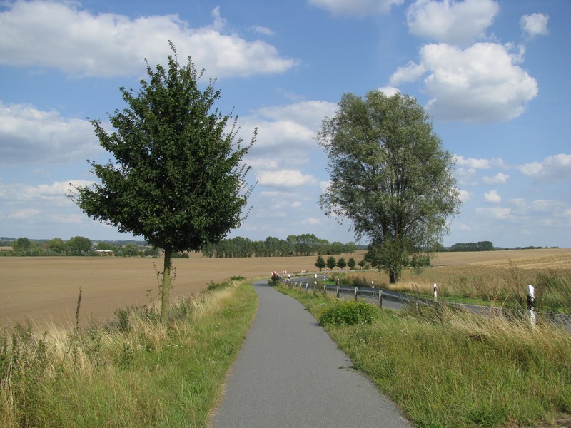 Nordwestmecklenburg, mecklenburgische Landschaft in Sommer, August 2009
