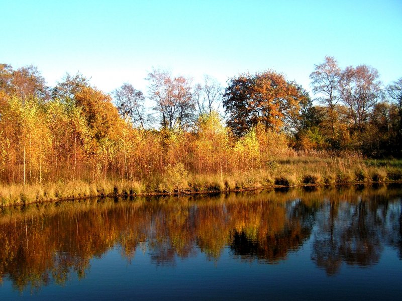 OLDENBURG, 21.11.2004, an einem Teich im Stadtteil Kreyenbrück