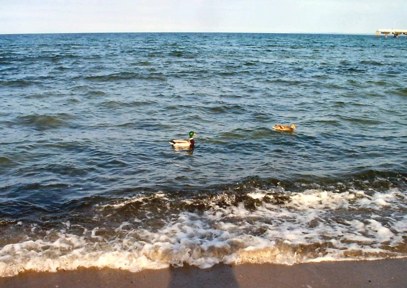 Ostsee bei Timmendorfer Strand, 2004