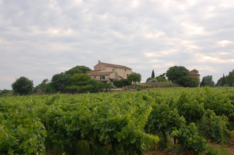 provencalisches Weingut mit Weinberg auf der linken Seite und Olivenhain auf der anderen Seite unweit der Stadt Le Val, einem kleinen verschlafenen Nest mit ca. 3000 Einwohnern, in dem die Zeit etwa in den 60-er Jahren angehalten zu sein scheint.